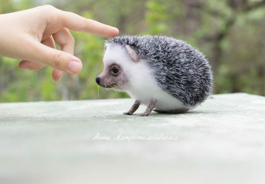 Realistic Handmade Wool Animals By Anna Yastrezhembovskaya