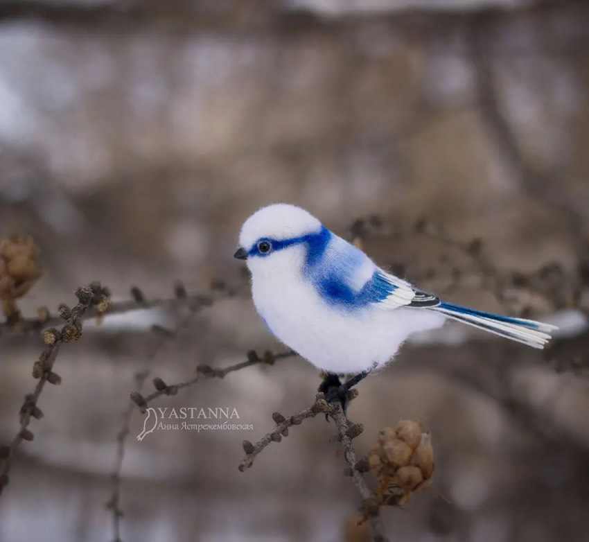 Realistic Handmade Wool Animals By Anna Yastrezhembovskaya