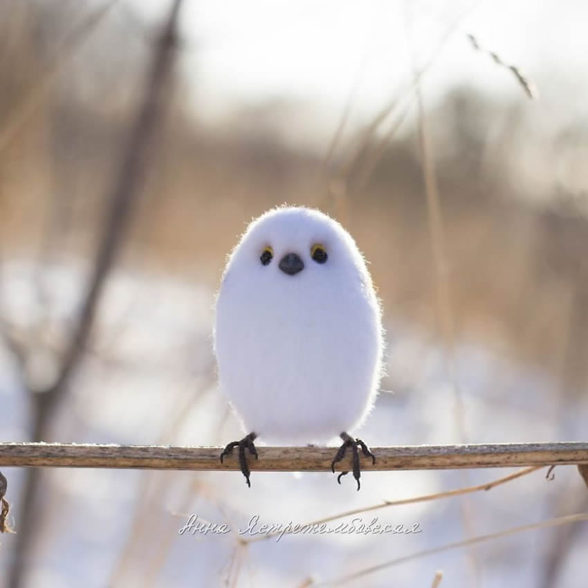 Realistic Handmade Wool Animals By Anna Yastrezhembovskaya