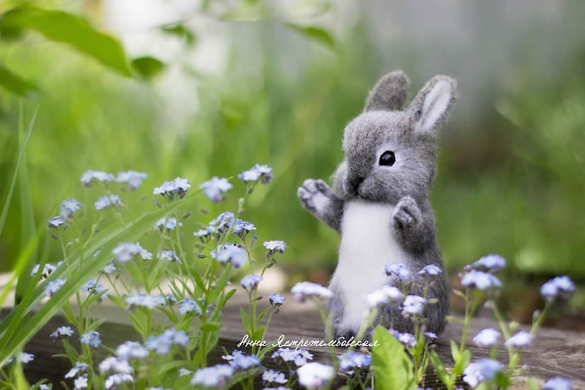 Realistic Handmade Wool Animals By Anna Yastrezhembovskaya