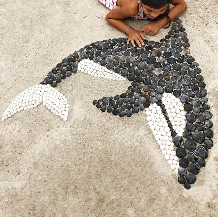 Seashells On The Beach Art By Anna Chan