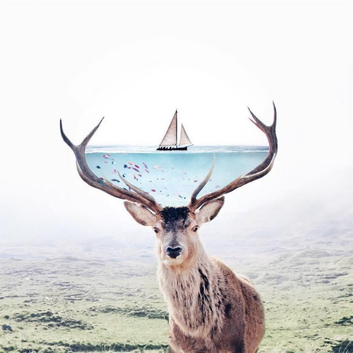 Surreal Photo Manipulation by Luisa Azevedo