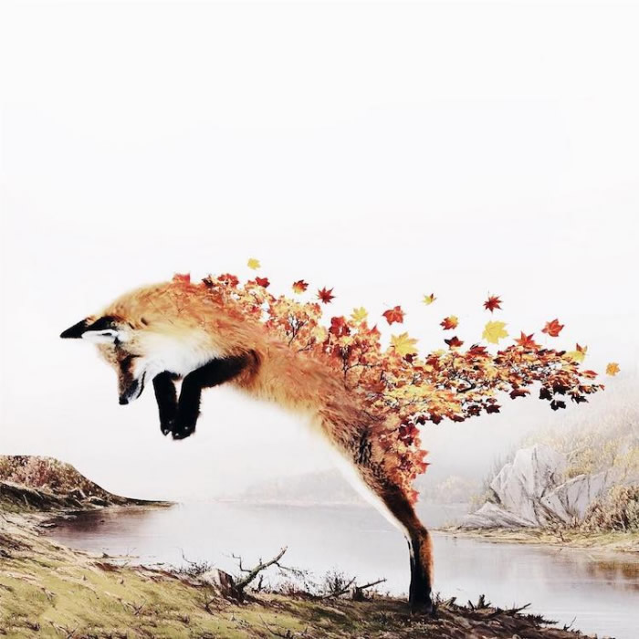 Surreal Photo Manipulation by Luisa Azevedo