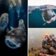 Stunning Winning Photos Of Underwater Photographer of the Year Contest