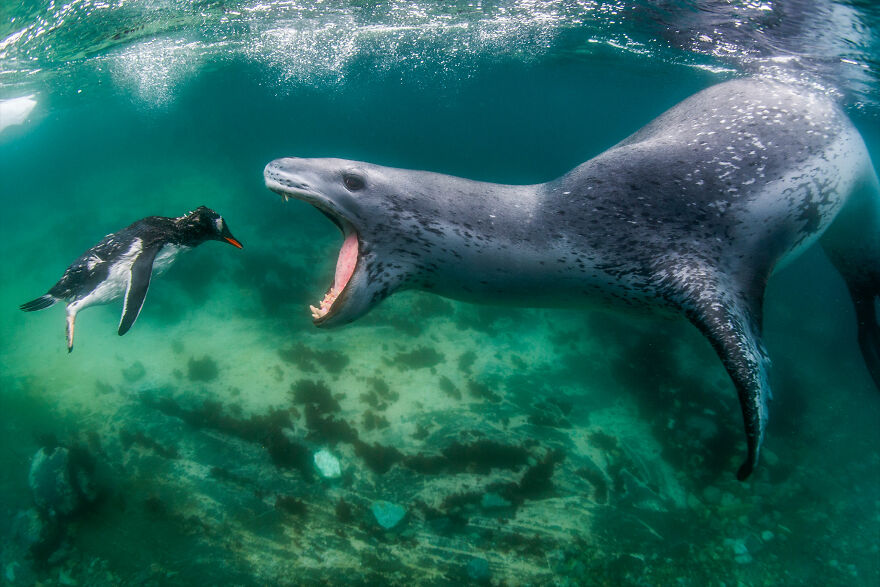 World Nature Photography Awards Winners