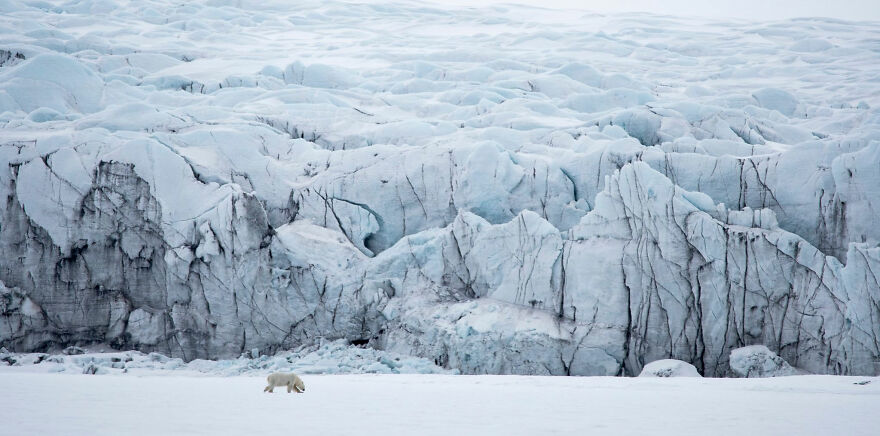 World Nature Photography Awards Winners