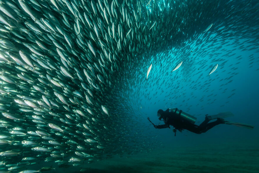 World Nature Photography Awards Winners