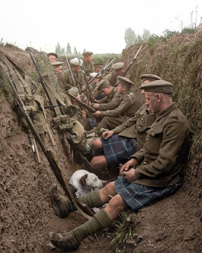 Colorizes Old Photos by Joel Bellviure