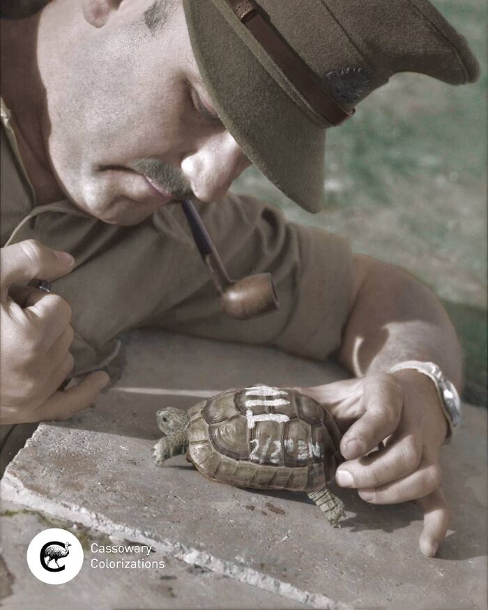 Colorizes Old Photos by Joel Bellviure