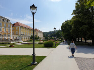 Franci Polanič, Slovenia