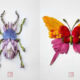 Artist Raku Inoue Amazingly Crafts Insects From Freshly Cut Flowers & Leaves