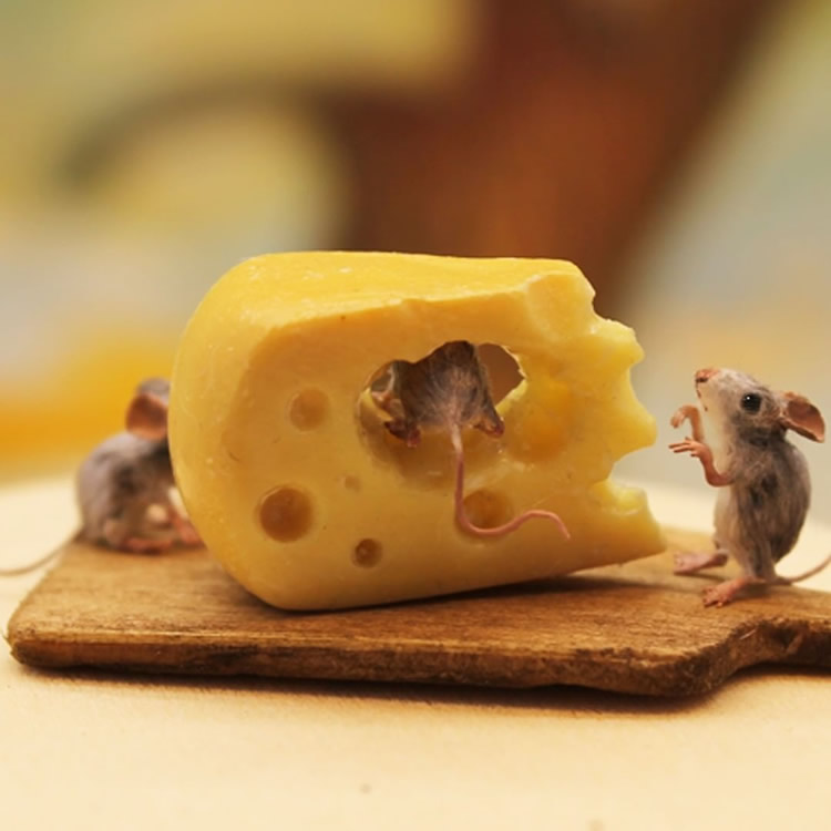 Miniature Animal Sculptures by Katie Doka