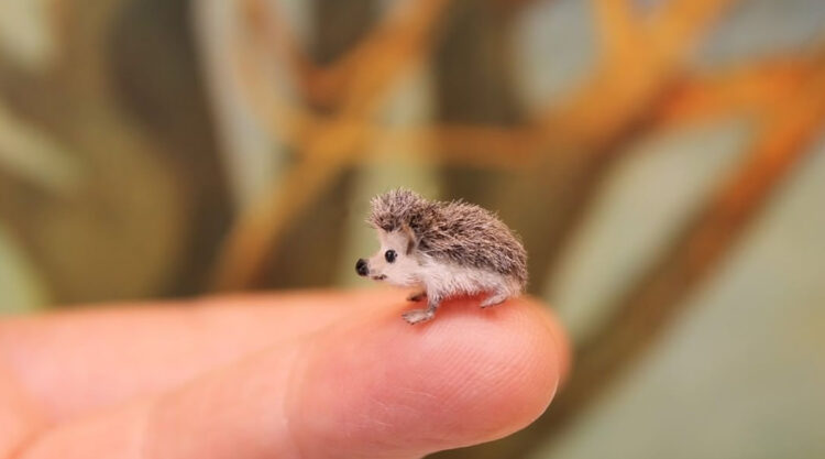 Artist Katie Doka Creates Enchanting Miniature Animal Sculptures