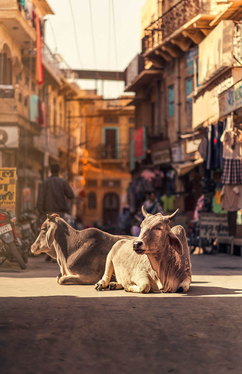 Narrow Streets Of South Asia By Ashraful Arefin