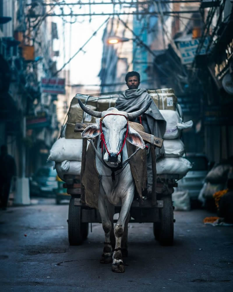 Narrow Streets Of South Asia By Ashraful Arefin