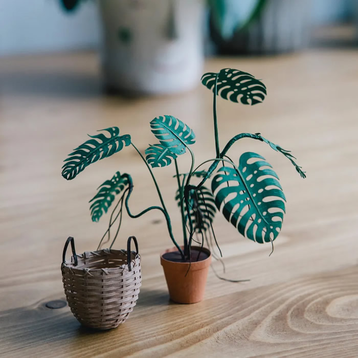 Miniature Paper Plants by Raya Sader Bujana