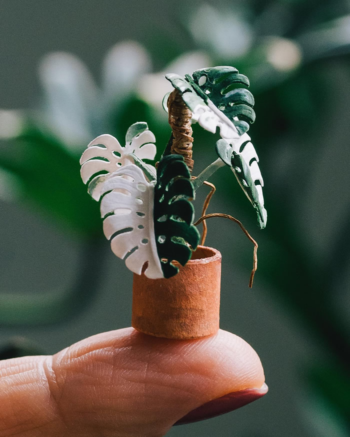 Miniature Paper Plants by Raya Sader Bujana