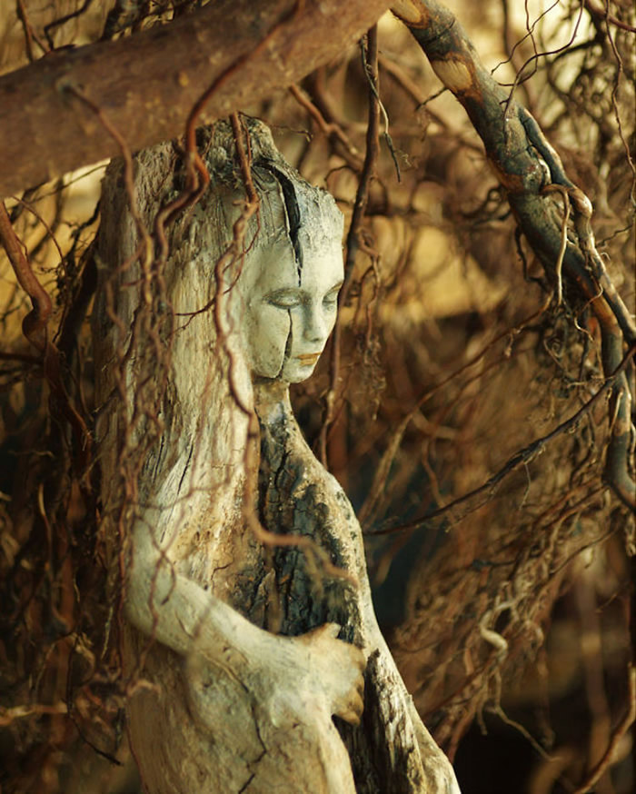 Wood Sculptures By Debra Bernier