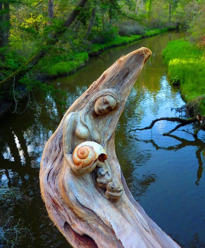 Wood Sculptures By Debra Bernier