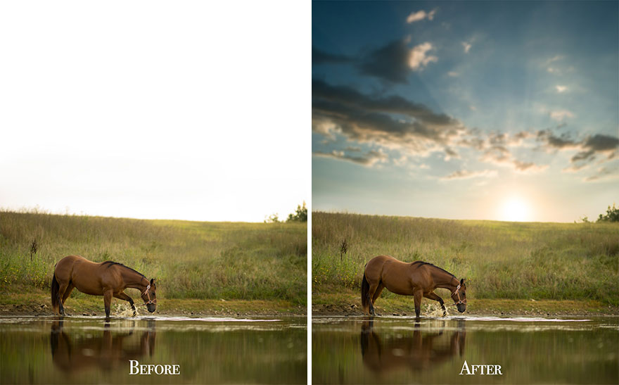 Before and After Photos By Phillip Haumesser