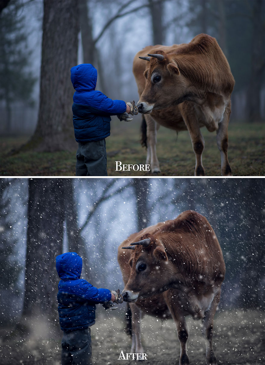 Before and After Photos By Phillip Haumesser