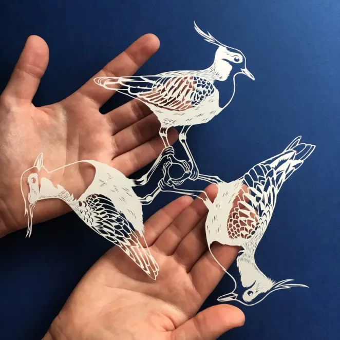 Delicate Paper Cuttings Art By Elin Price