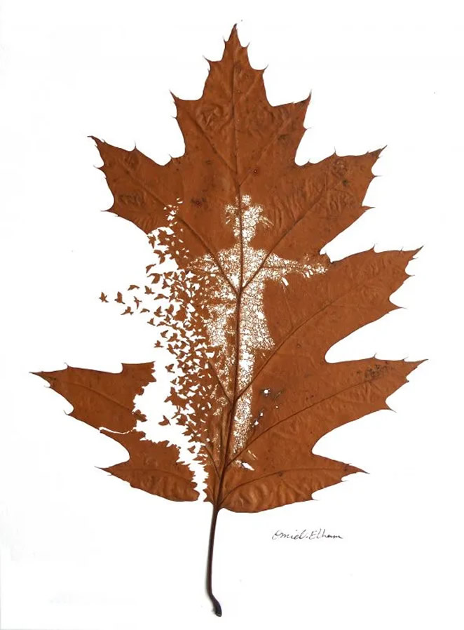 Beautiful Leaf Art By Omid Asadi