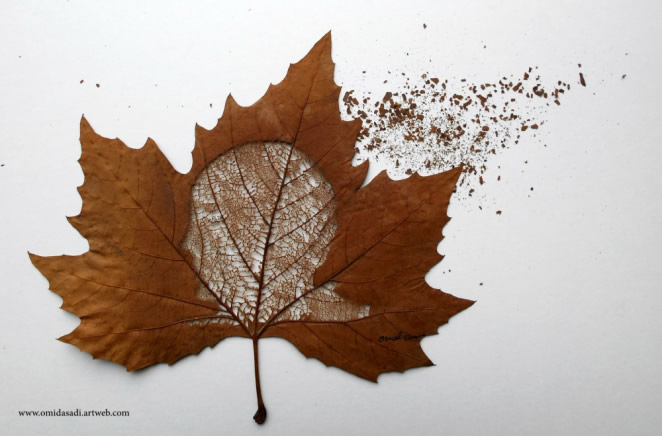 Beautiful Leaf Art By Omid Asadi