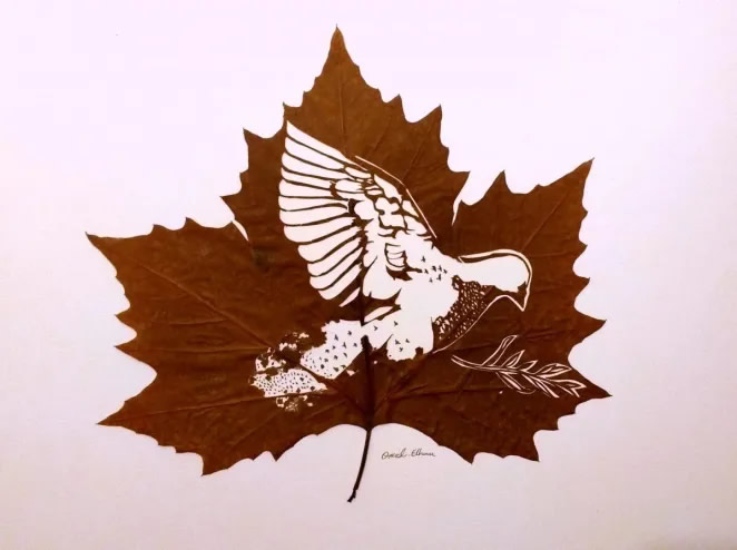 Beautiful Leaf Art By Omid Asadi