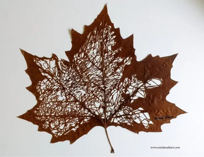 Beautiful Leaf Art By Omid Asadi