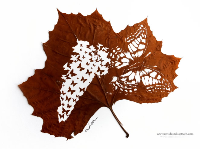 Beautiful Leaf Art By Omid Asadi