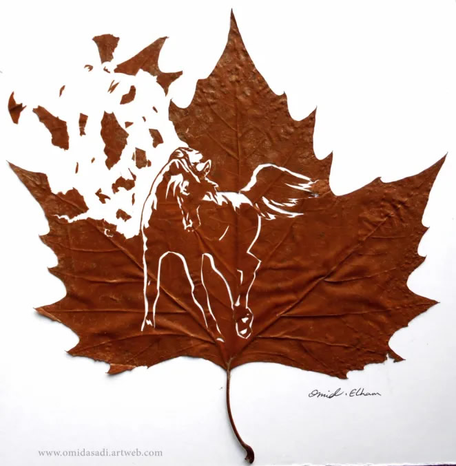 Beautiful Leaf Art By Omid Asadi