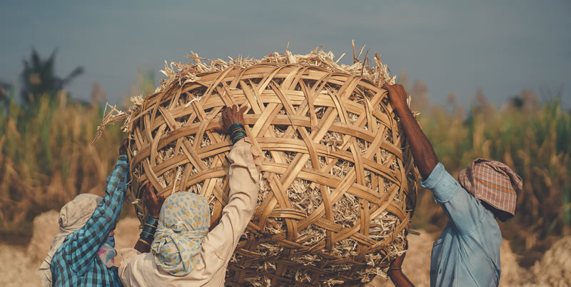 Life Of Jaggery Workers By Vedant Kulkarni