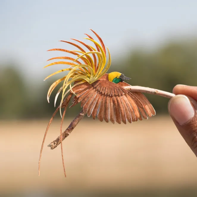 Paper Cut Sculptures Of Birds By Nayan Shrimali and Vaishali Chudasama