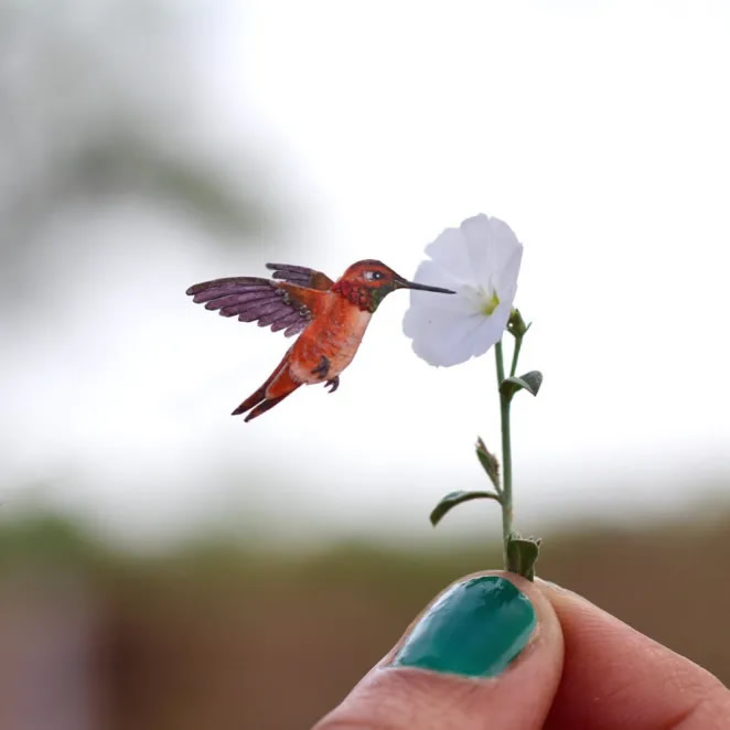 Paper Cut Sculptures Of Birds By Nayan Shrimali and Vaishali Chudasama