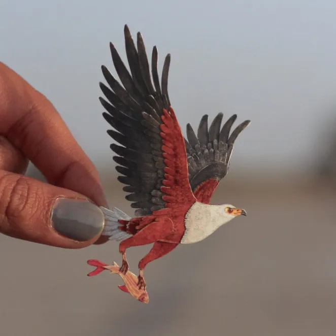 Paper Cut Sculptures Of Birds By Nayan Shrimali and Vaishali Chudasama