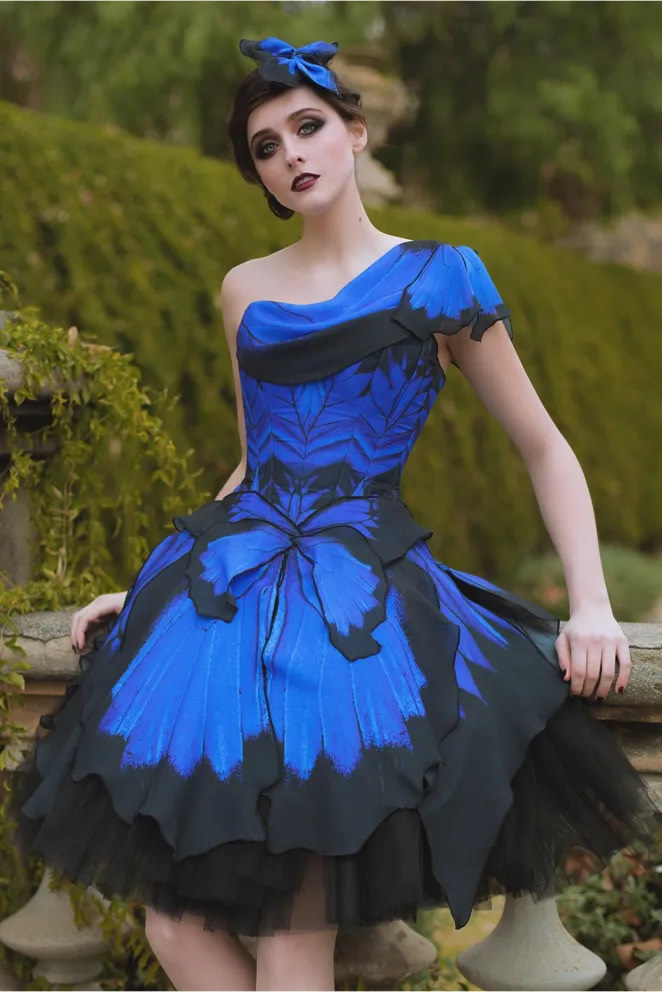 Butterfly Wings Dresses By Bibian Blue