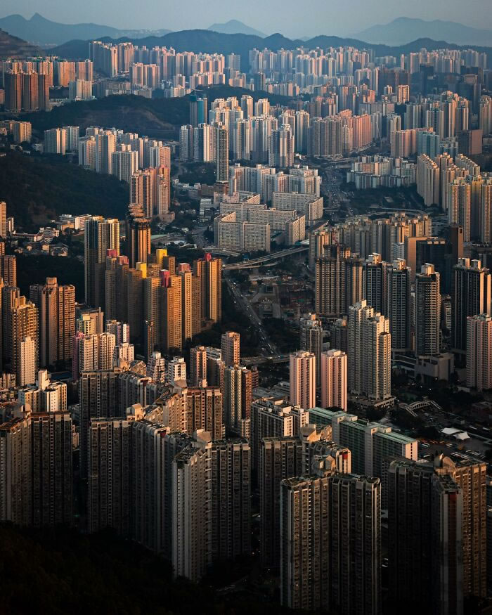 Hong Kong Being A Concrete Jungle By Manson