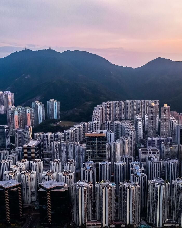 Hong Kong Being A Concrete Jungle By Manson