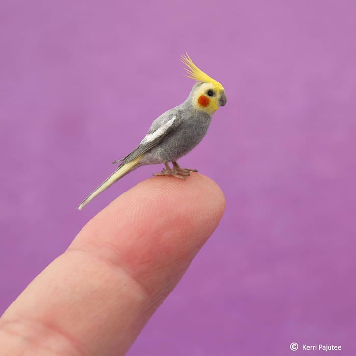 Miniature Animals Sculptures By Kerri Pajutee