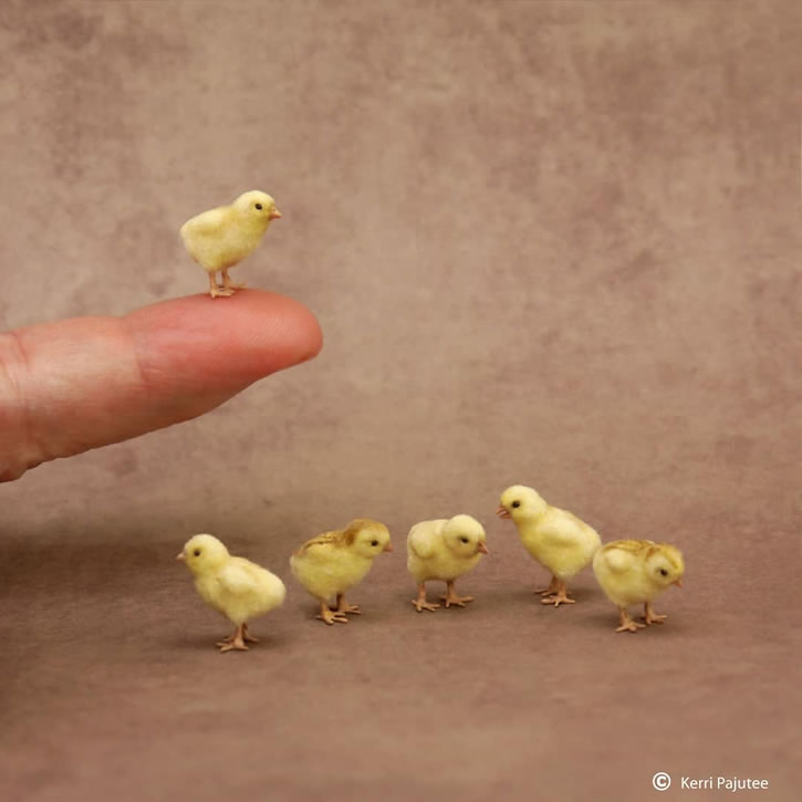 Miniature Animals Sculptures By Kerri Pajutee