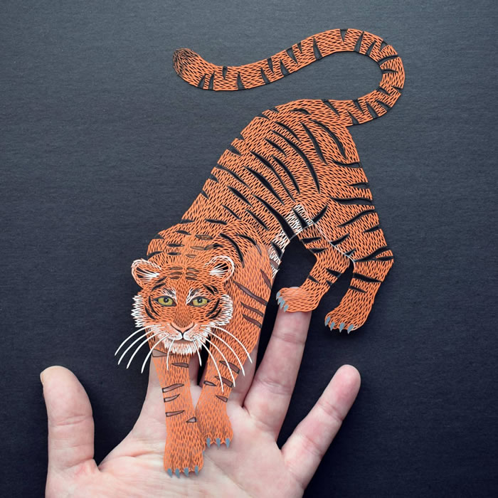 Paper Art By Pippa Dyrlaga