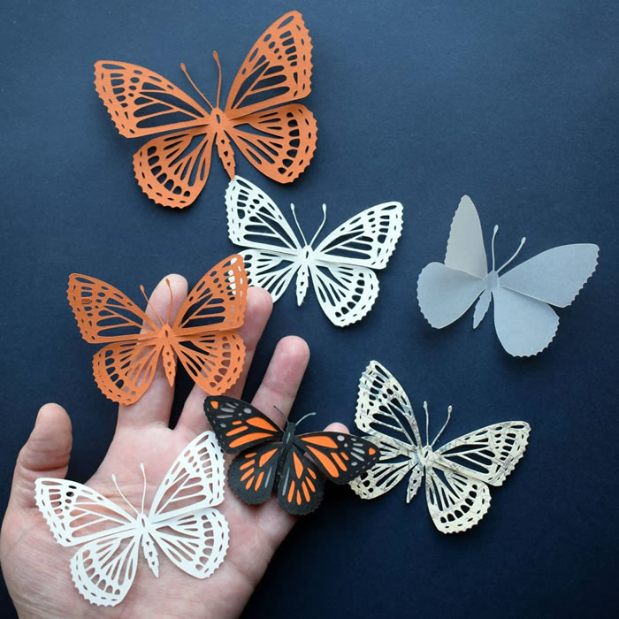 Paper Art By Pippa Dyrlaga