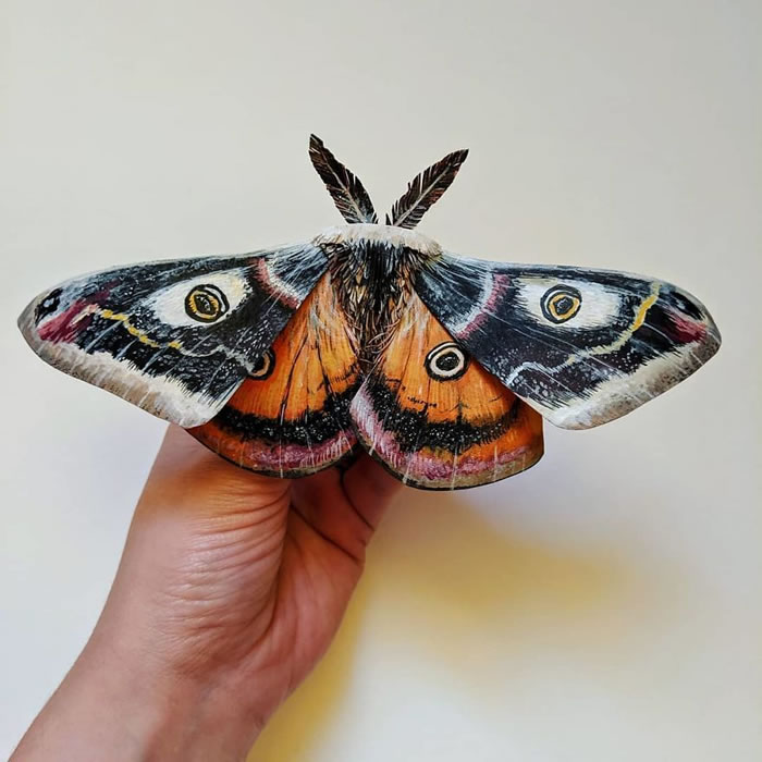 Paper Sculptures Of Butterflies By Kerilynn Wilson