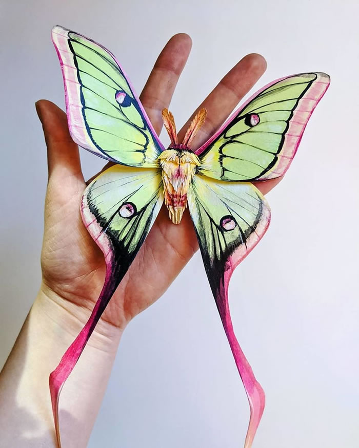 Paper Sculptures Of Butterflies By Kerilynn Wilson