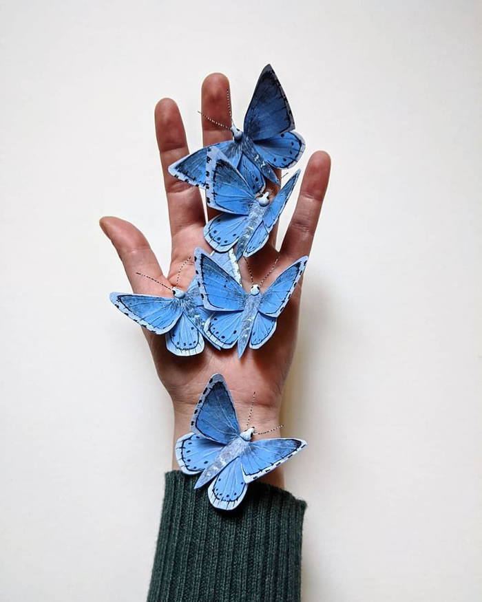 Paper Sculptures Of Butterflies By Kerilynn Wilson