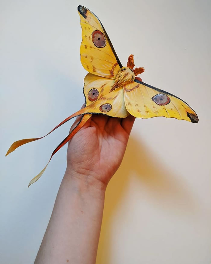 Paper Sculptures Of Butterflies By Kerilynn Wilson