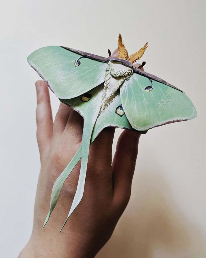 Paper Sculptures Of Butterflies By Kerilynn Wilson