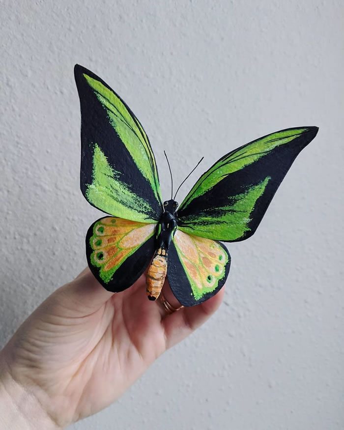 Paper Sculptures Of Butterflies By Kerilynn Wilson