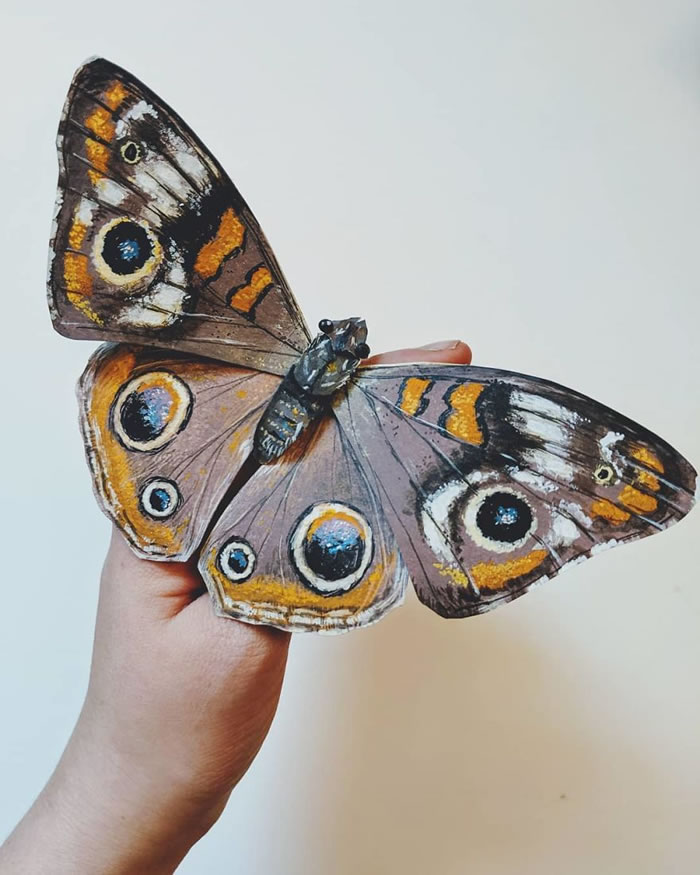 Paper Sculptures Of Butterflies By Kerilynn Wilson